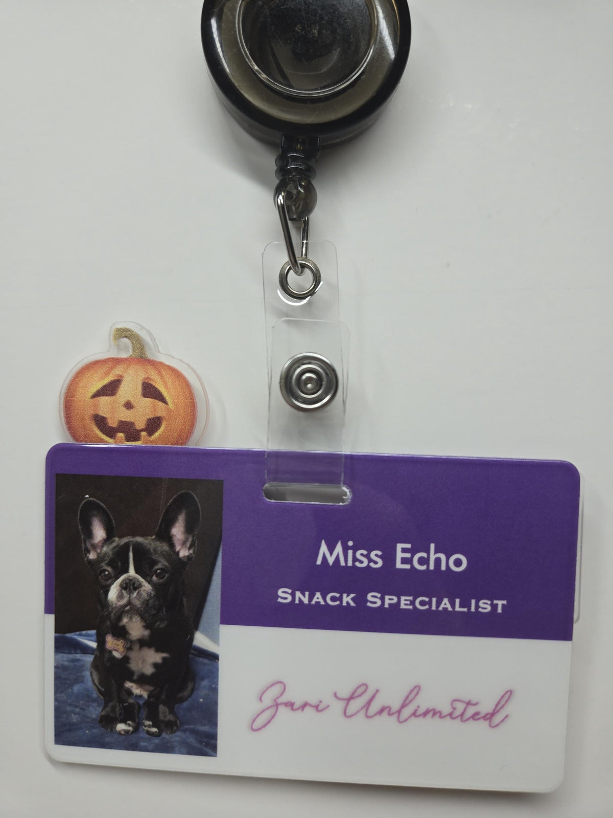 Badge Topper Buddy/ Nurse / Office / Gift / Halloween / Pumpkin